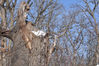 DSC_0177.JPG
